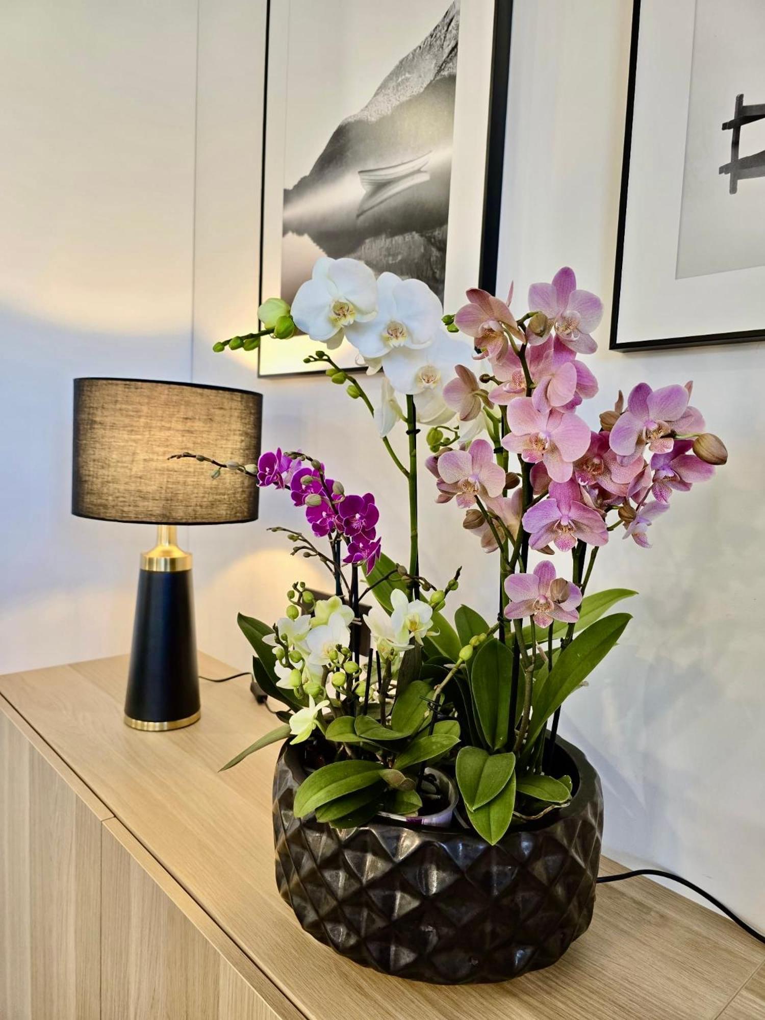 Alejos Apartmentai Comfort Druskininkai Exteriör bild
